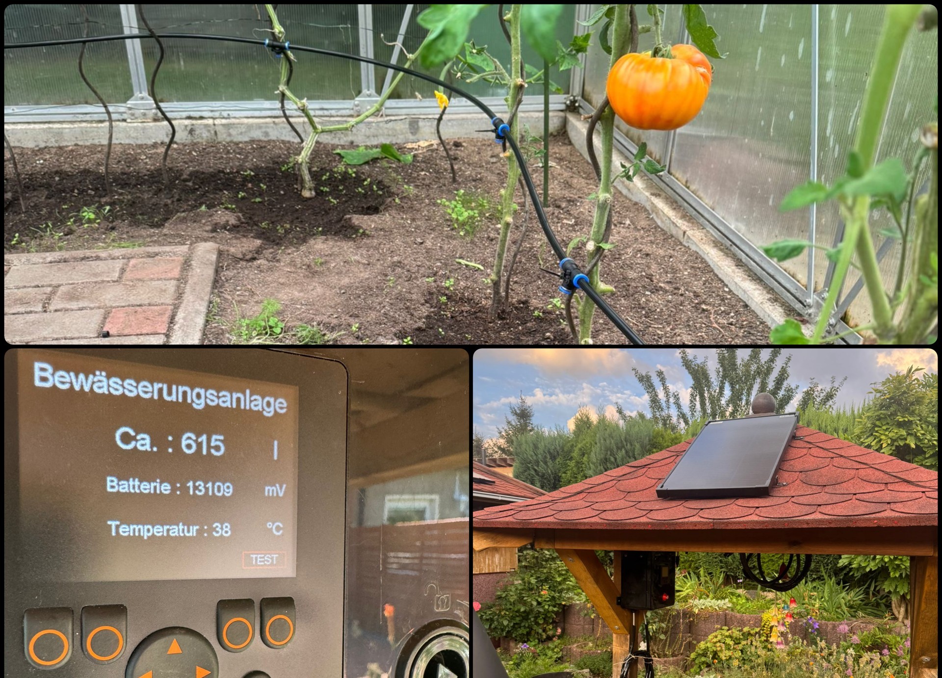 Outdoor-Bewässerungsanlage mit Sensorik
